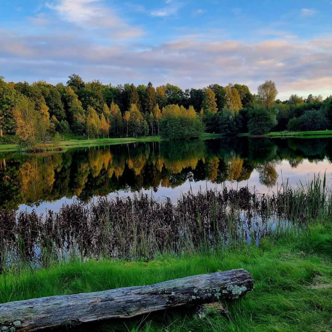 Tallhoejden Hotel & Cottage Lodge Simlangsdalen Экстерьер фото